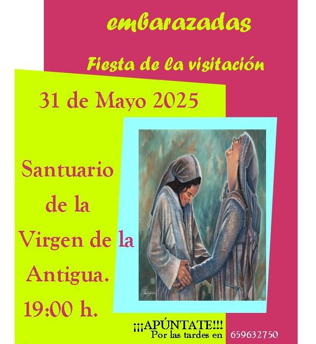 FIESTA DE LA VISITACIÓN