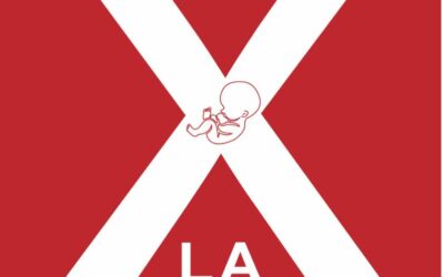 VELAS X LA VIDA